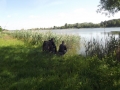 zdjecia-1-06-2015-077