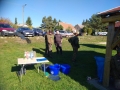 IMG-20181016-WA0009