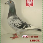 k-kupczyk-golab