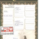 kmiecik2 001