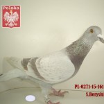s-borysiuk-golab