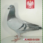 w-norkowski-golab
