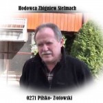z-stelmach